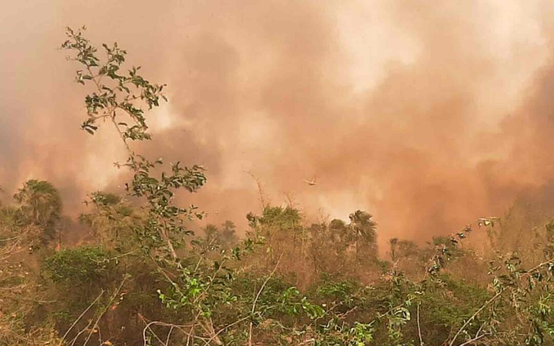 Beni se declara en desastre departamental por los incendios forestales y sequía