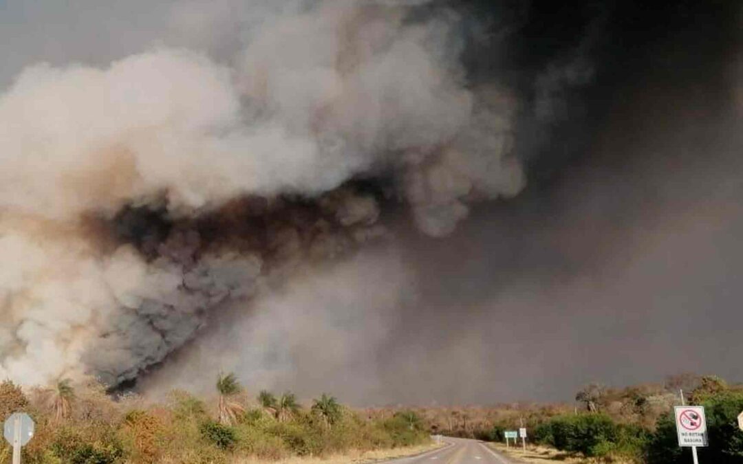“Paquete incendiario”: Senado abrogó dos leyes sobre perdonazos, pero quedan en pie las principales normas que autorizan las quemas