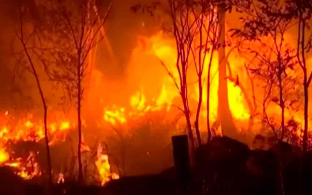 Incendios Forestales: Un Delito Que No Para.